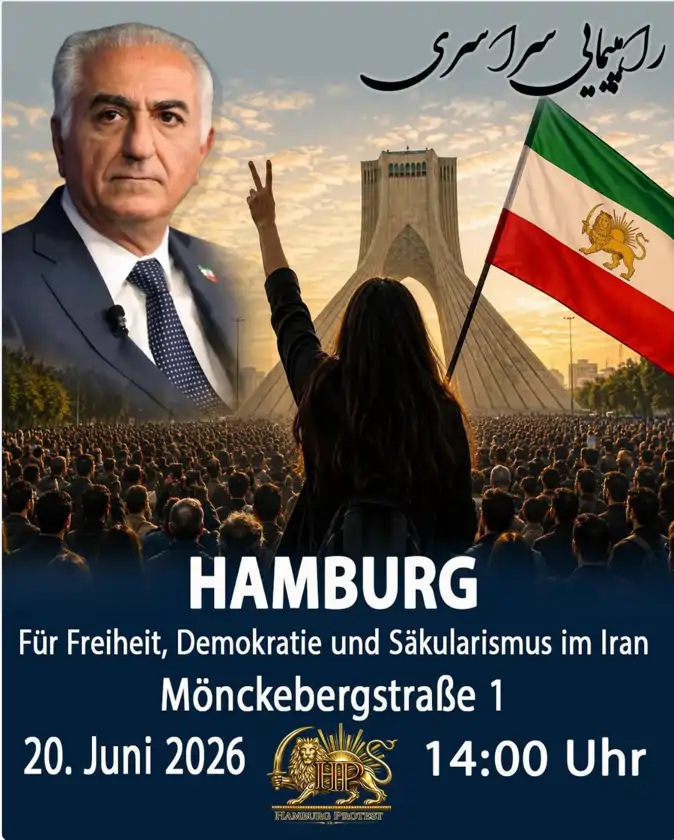 demo-hamburg
