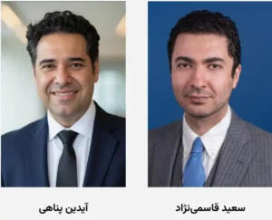 سعید آیدین